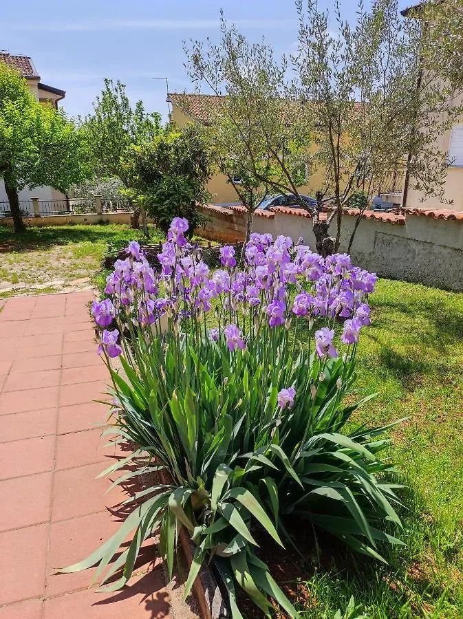 Apartments Erenda Fuškulin